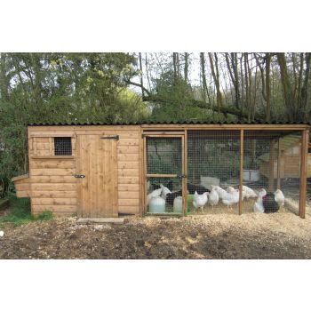 Tall poultry house with nestboxes and large adjoining run