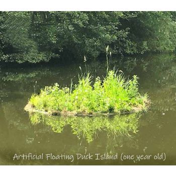Buttercup Waterfowl Island - 2 module - L400 x W100 cm