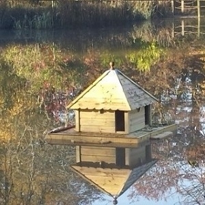 Duck, Waterfowl Houses and Runs Duck, Waterfowl Houses and Runs