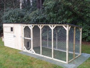 Buttercup Chicken or duck house with large run - Pressure Treated - For up to 24 Hens